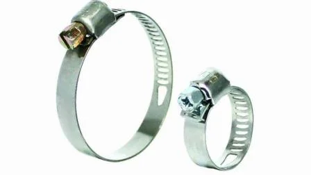 Abrazadera de manguera de anillo galvanizado con doble oreja